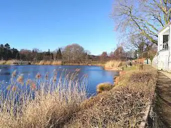 Photo de Stauweiher Diepenbenden