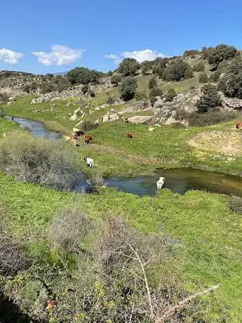 Photo de Presa del Grajal