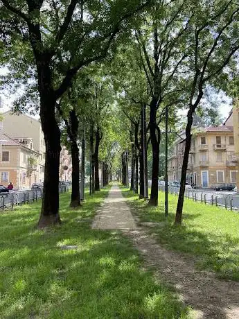 Precollinear Park