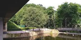 Etang du Mandinet