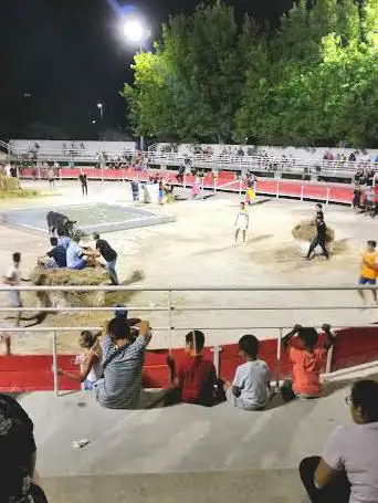 Photo de Arènes de Barbentane