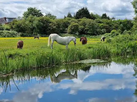 Glen Parva Nature Reserve