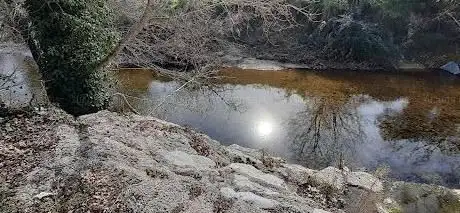 Rives du loup