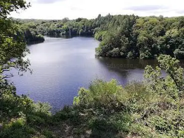 Photo de Point de vue Le Tertre Rault