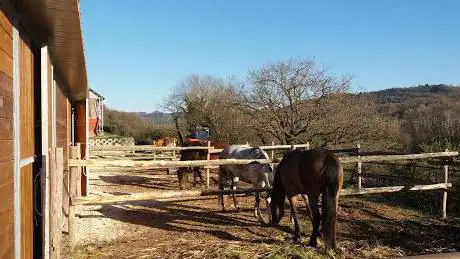 Photo de CENTRO EQUESTRE SENOFONTE A.S.D.