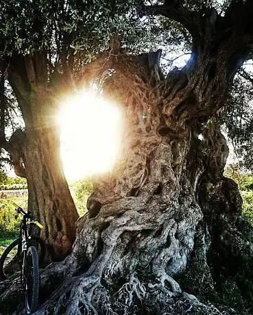 Photo de Olivera Jesus Pobre
