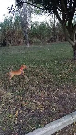 Parco di via Italia