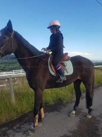 Photo de Yeguada El Pomar