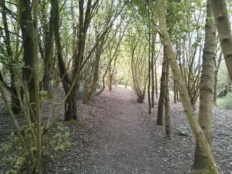 Photo de Filnore Community Woodland