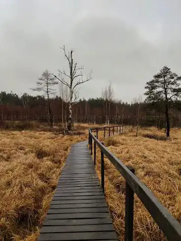 Fagne de l'abîme