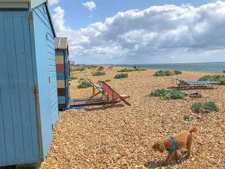 Chichester Avenue Beach Huts