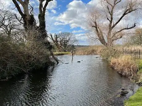 Photo de Gladstone Park Pond