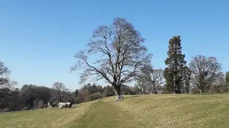 Photo de Felton Park