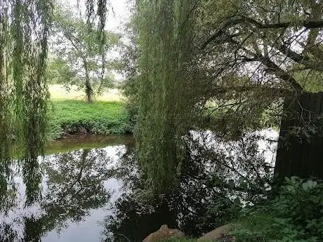 Photo de The Mill Stream Alrewas