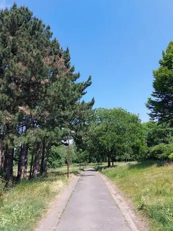 Photo de Parc Sainte-Beuve