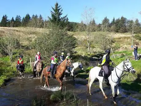 Rheidol Riding Centre