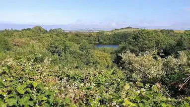 Observatoire oiseaux