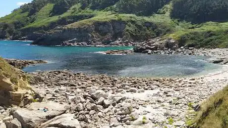 Photo de Praia de Portonovo