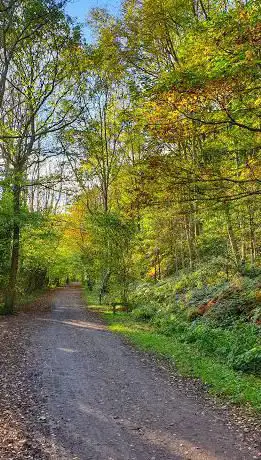 Photo de Thornley Woodlands Centre