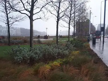 Photo de Riverside Gardens