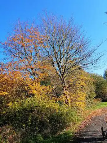 Worsley Mesnes Playground