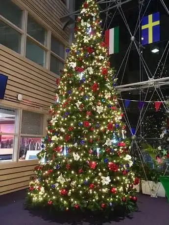 Photo de Irish Christmas trees