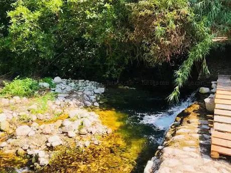 Photo de Bustan Ibleo