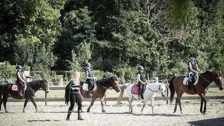 Pony Connect