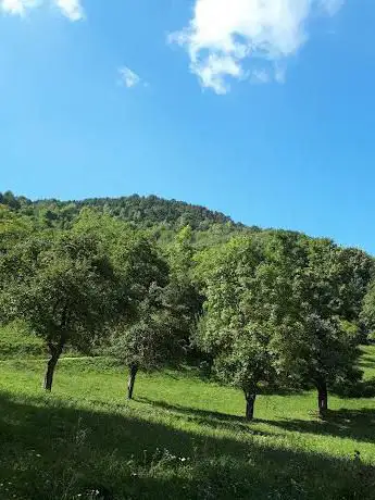 Borgata Fatiga