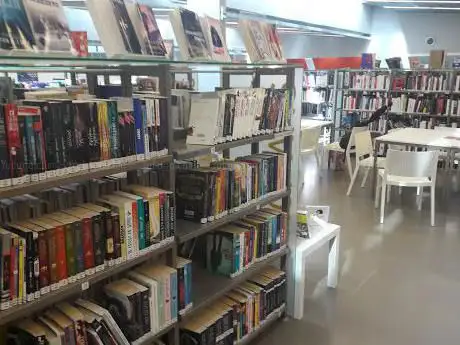 Photo de Bibliothèque Thabor-Lucien Rose