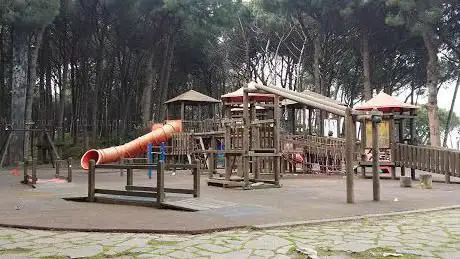 Giostre Pineta Fiaiano