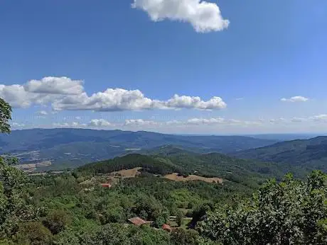 Photo de Foreste Casentinesi