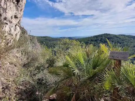 Photo de Cova del Crani