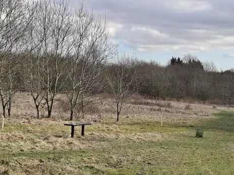 Bench