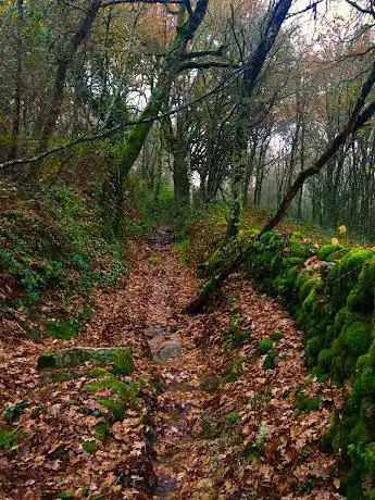 RUTA CICLOTURISTICA DA PEROXA