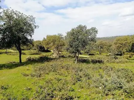 Photo de Dehesa de San Sebastián de los Reyes