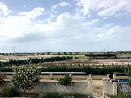 Photo de Melograni Copertino