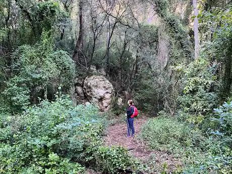 Photo de Font d'Horta