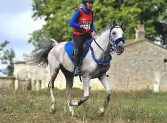 Photo de Haras des Trois Mas