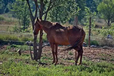 CENTRE EQUESTRE DE MONTMEYAN