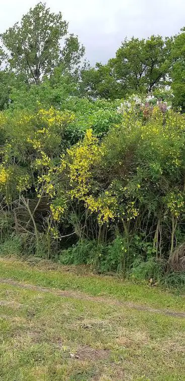 Photo de Departure greenway Bressuire Parthenay