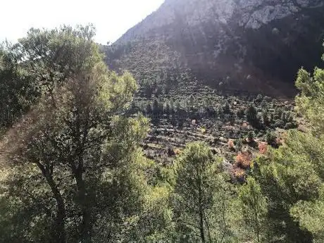 Photo de Coll de Sacarets