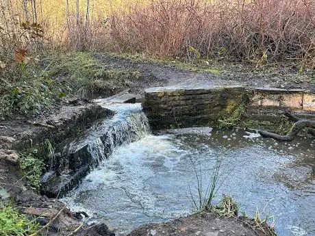 Photo de Levenshulme Waterfall