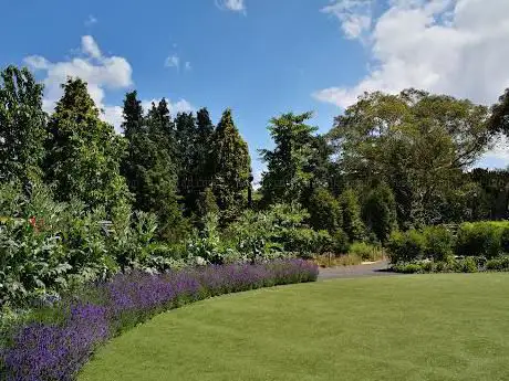 Photo de Kew's Children's Garden