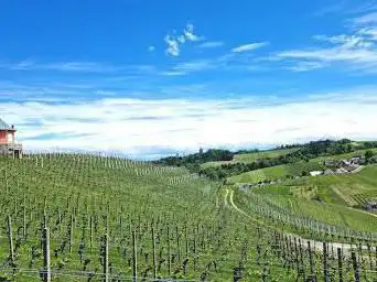 Aussichtsplattform Kappelrodeck Waldulm