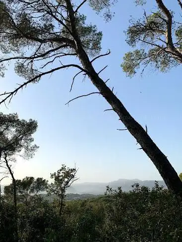 CRAPA de la foret
