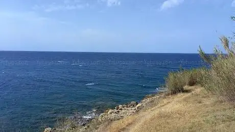 Photo de Spiaggia rocciosa