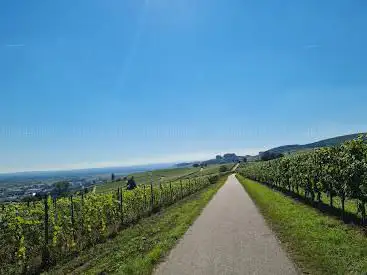 Markgräfler Weinweg