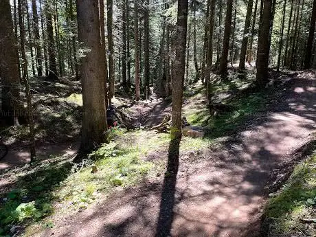 Photo de Willy Wonka percorso Downhill