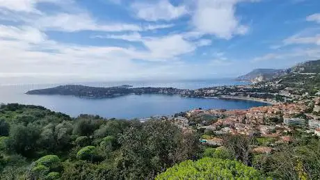 Point de vue à la tête de chien